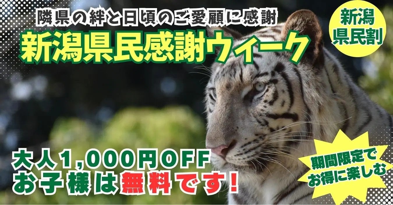 昭和レトロな温泉銭湯 玉川温泉で10月12日「スポーツの日」に、綱引きや玉入れ、パン食い競争など「昭和レトロな大運動会」を開催します。