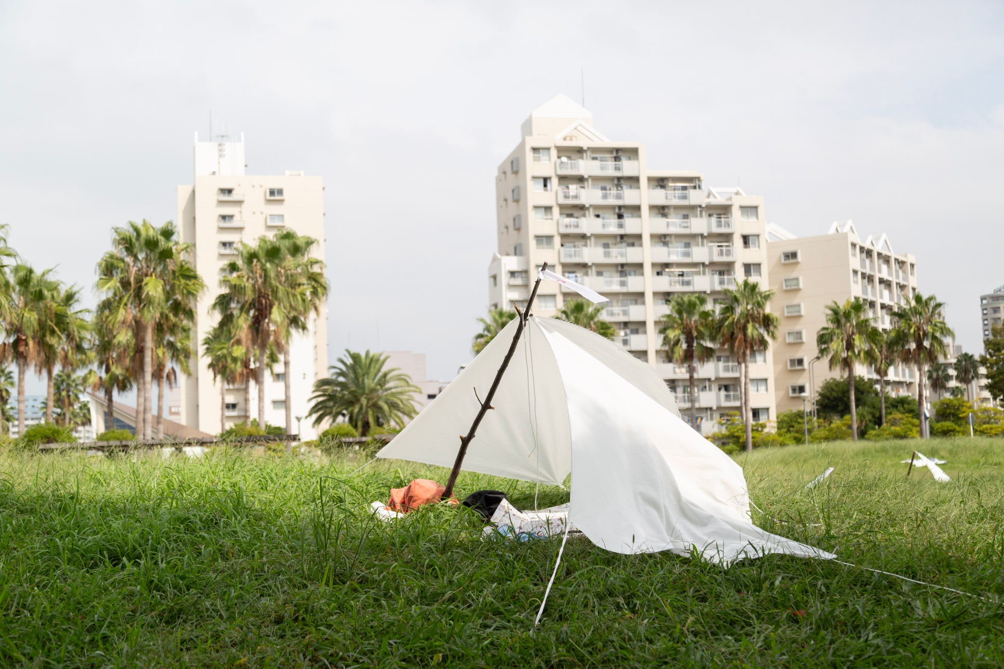 ▲これまでのワークショップの様子 10月1日「ヤネをさがそう」