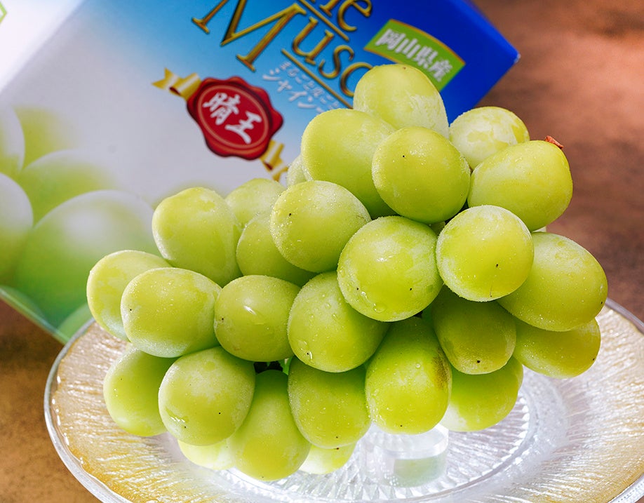 送料無料対象品：JA全農おかやま シャインマスカット『晴王』 