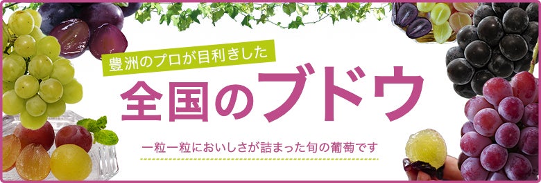 秋を彩る葡萄の魅力をもっと伝えたい!10種類のぶどうを食べ比べ 秋を彩る葡萄の魅力をもっと伝えたい!10種類のぶどうを食べ比べ