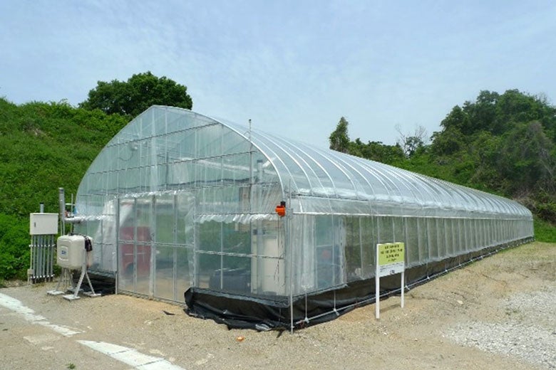 「近畿大学　農学部　ものづくり村　ICT設置温室」 ここで、なら近大農法の研究がされている