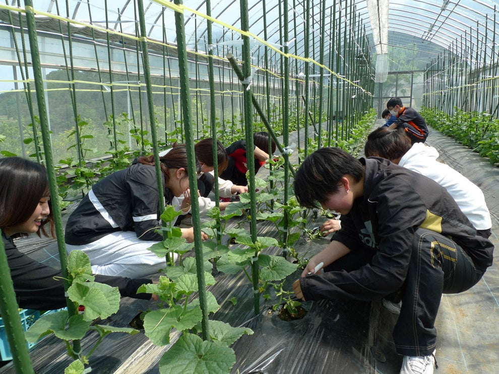 栽培を行う学生のほとんどは農業経験ゼロ
