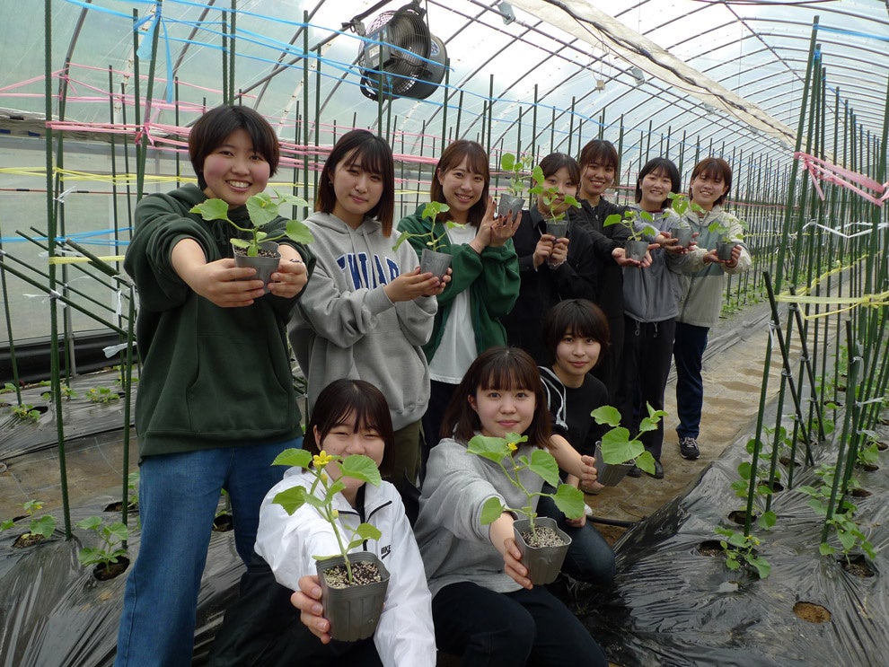 農業生産科学科　植物感染制御工学研究室の学生の皆さん