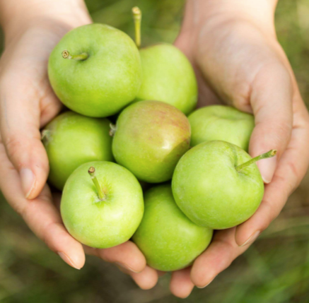 摘果の青リンゴ