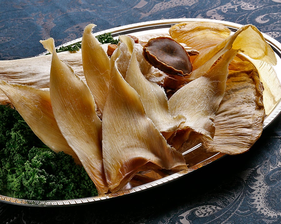 ふかひれイメージ