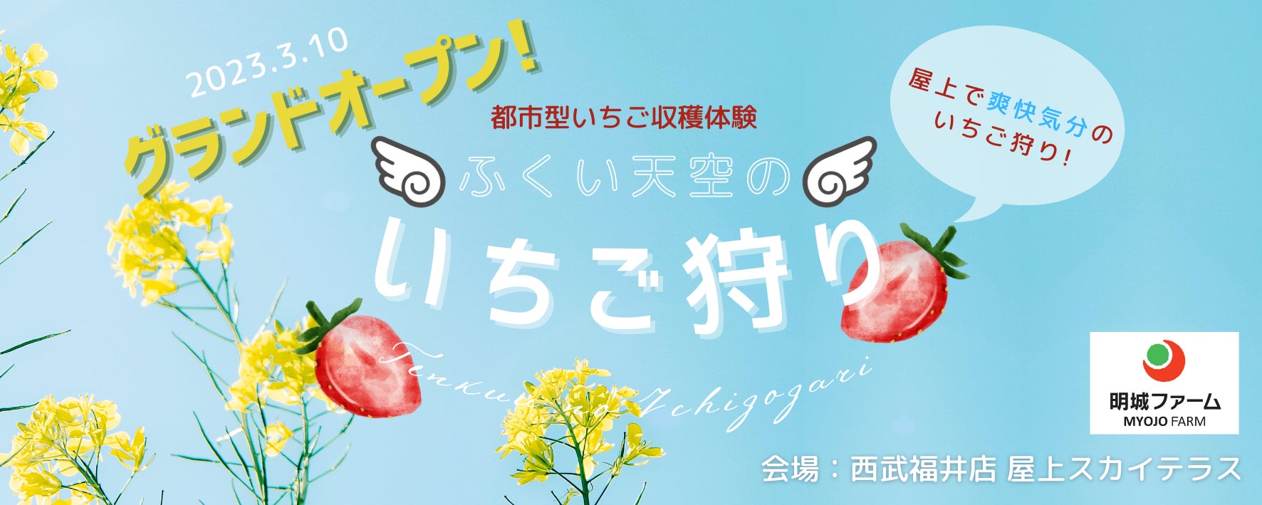 都市型いちご収穫体験「ふくい天空のいちご狩り」を開始!百貨店屋上を 都市型いちご収穫体験「ふくい天空のいちご狩り」を開始!百貨店屋上を