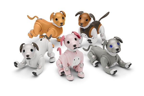 aibo(アイボ)