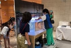 おでかけえのすい