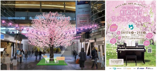 【相模大野ステーションスクエア】2月28日(土)より桜装飾が登場。「相模原市南区×小田急×山野楽器」の協働による相模大野カジュアルピアノは3月17日(火)から5日間限定で設置 【相模大野ステーションスクエア】2月28日(土)より桜装飾が登場。「相模原市南区×小田急×山野楽器」の協働による相模大野カジュアルピアノは3月17日(火)から5日間限定で設置