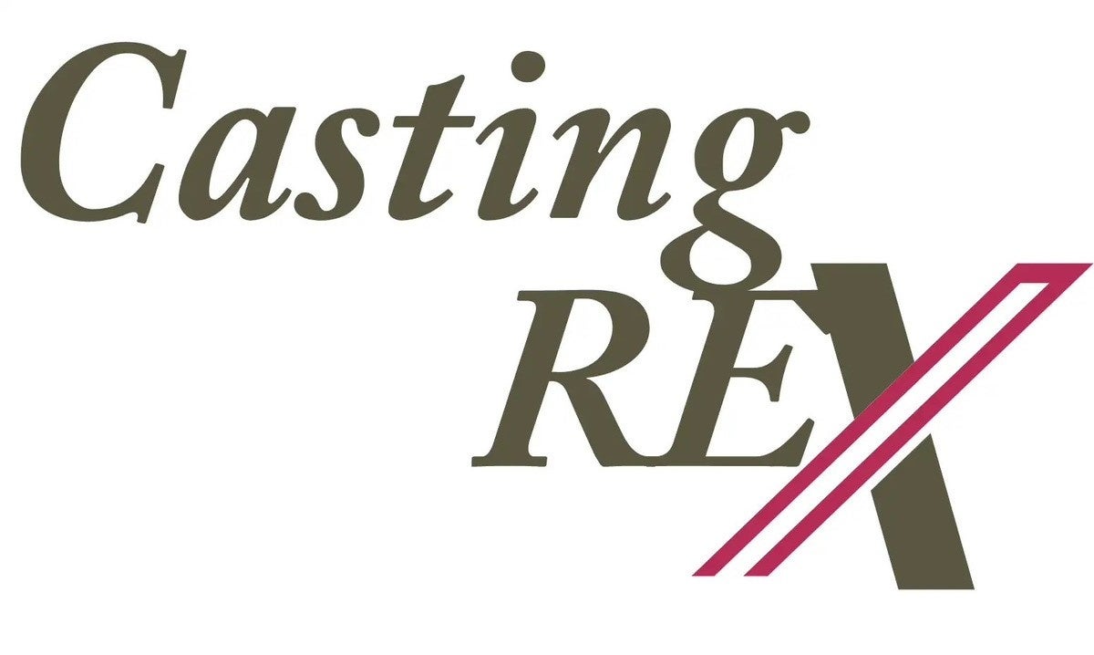 初月で CV 数 2 倍を実現！進化系タレント広告起用サービス 「Casting