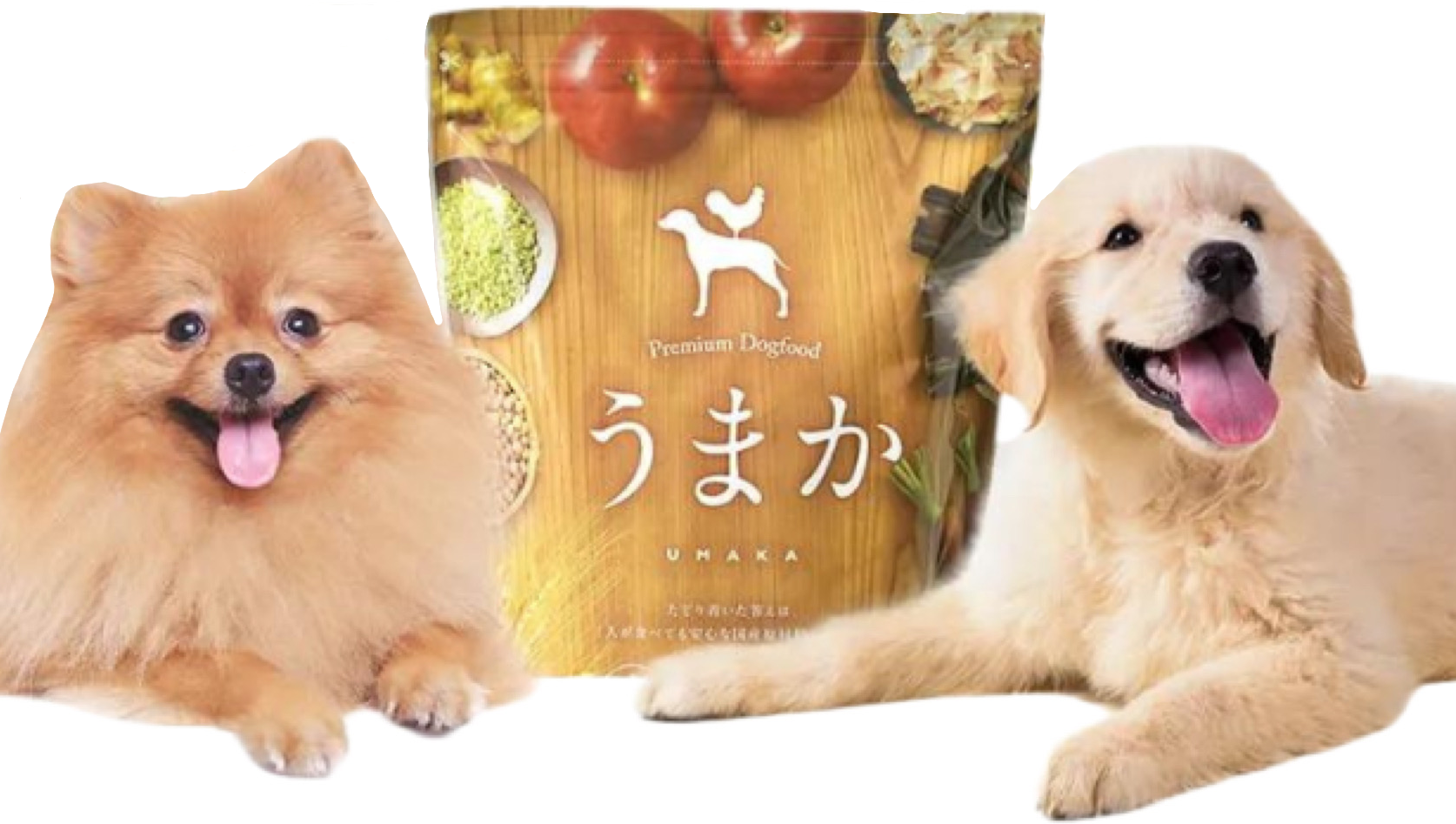 Premium Dogfood うまか ドッグフード 1.5kg 2袋