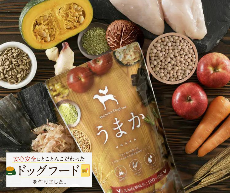 【新品未開封】　うまか　ドッグフード　九州産華味鳥100% 国産 おかげさまで累計1700万食突破！「博多華味鳥」が手掛ける【うま