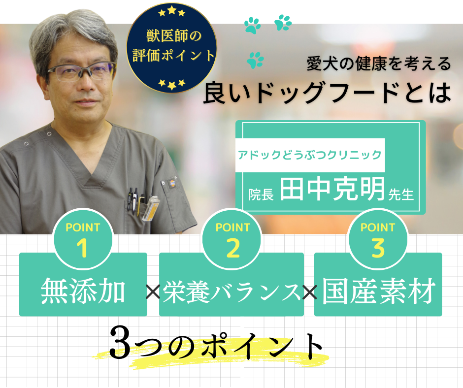 うまかドッグフードCM放送記念キャンペーン】大好評につき期間延長