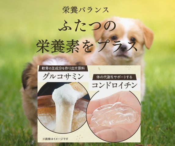 うまかドッグフードCM放送記念キャンペーン】大好評につき期間 うまかドッグフードCM放送記念キャンペーン】大好評につき期間