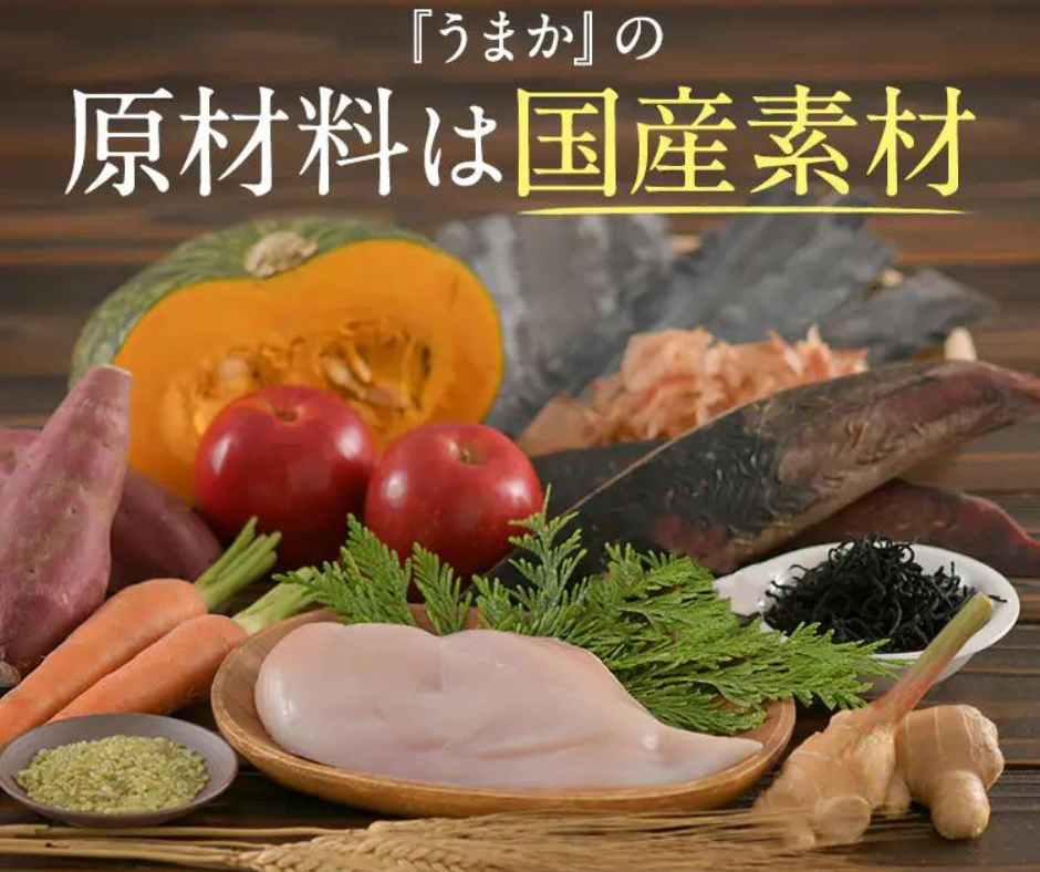 うまかドッグフードCM放送記念キャンペーン】大好評につき期間延長