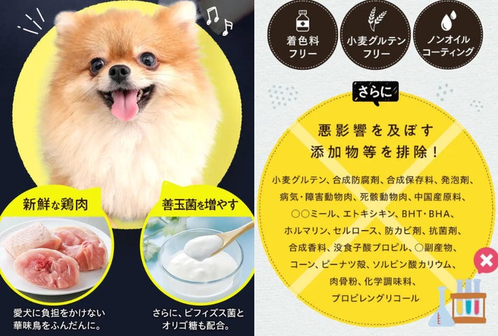 うまかドッグフードCM放送記念キャンペーン】大好評につき期間 うまかドッグフードCM放送記念キャンペーン】大好評につき期間