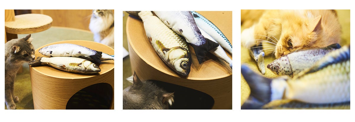 サカゼン】猫の日スペシャル企画「NEKOZEN」を記念して公式WEBストアに