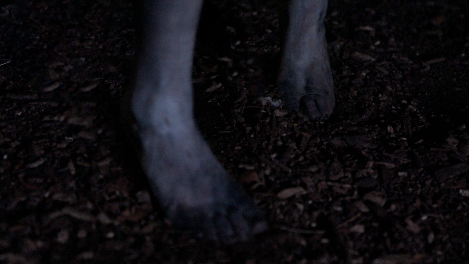 姿の見えない「音」が貴方の不安を煽ります……。