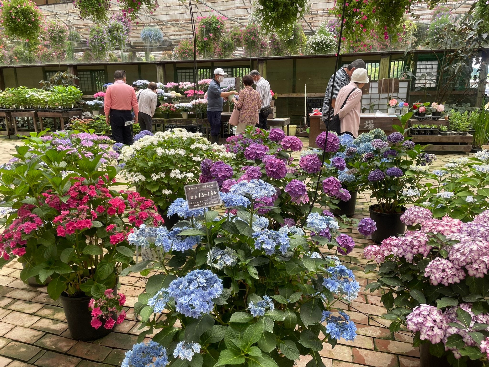 2023年5月20日撮影