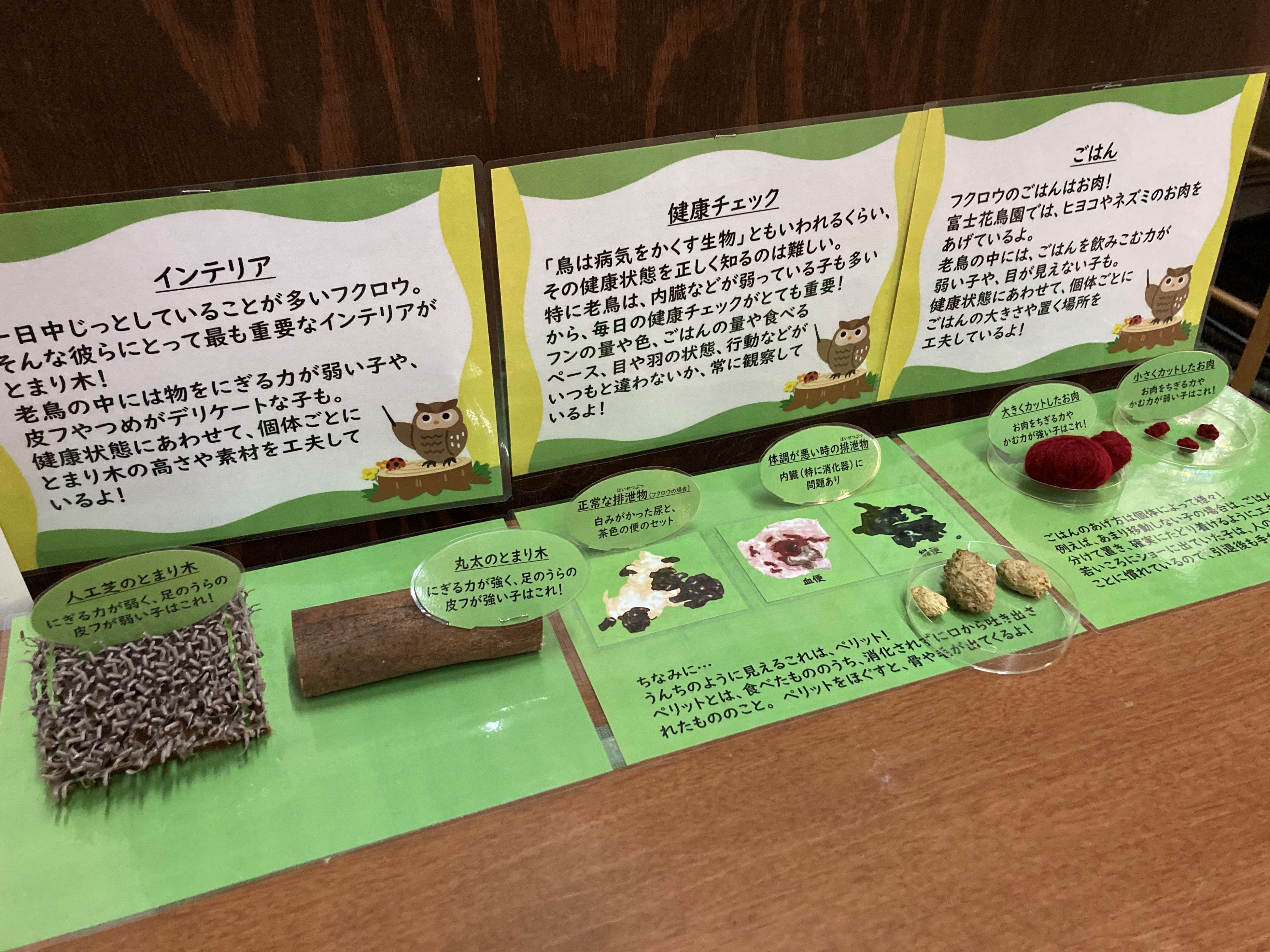 終生飼養（しゅうせいしよう）ー富士花鳥園（静岡県富士宮市）の