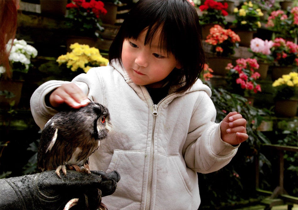 2022年ラブリー賞　杉山守様　「ふれあい」