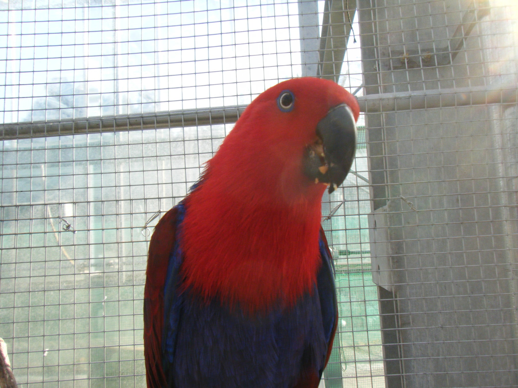 モコちゃん わたしはゼウス君が好き