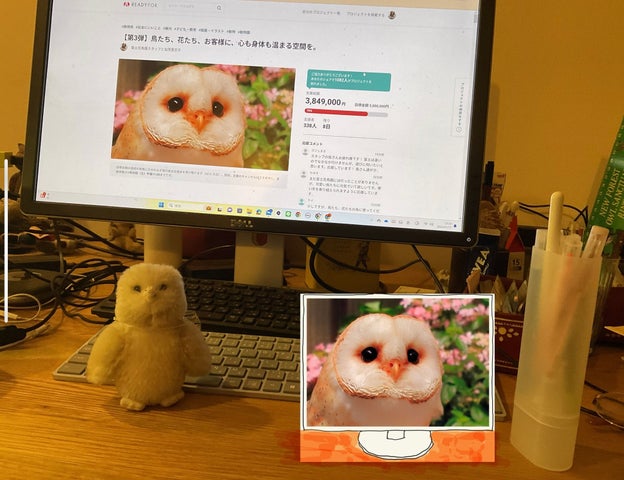 富士花鳥園:メンフクロウ「あんず」ちゃんのアクリルスタンド販売開始! 富士花鳥園:メンフクロウ「あんず」ちゃんのアクリルスタンド販売開始!