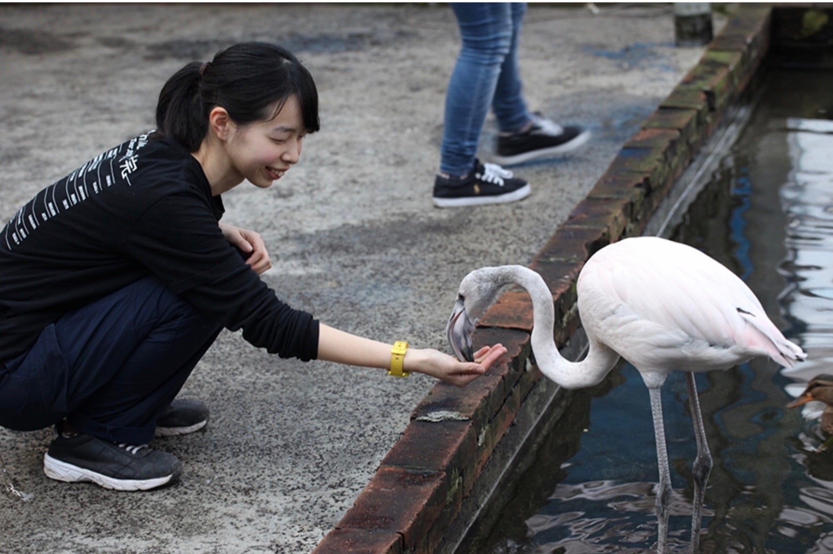 富士花鳥園 静岡県富士宮市 鳥たち 花たち お客様に 心も身体も温まる空間を 加茂株式会社のプレスリリース 富士花鳥園 静岡県富士宮市 鳥たち 花たち お客様に 心も身体も温まる空間を 加茂株式会社のプレスリリース