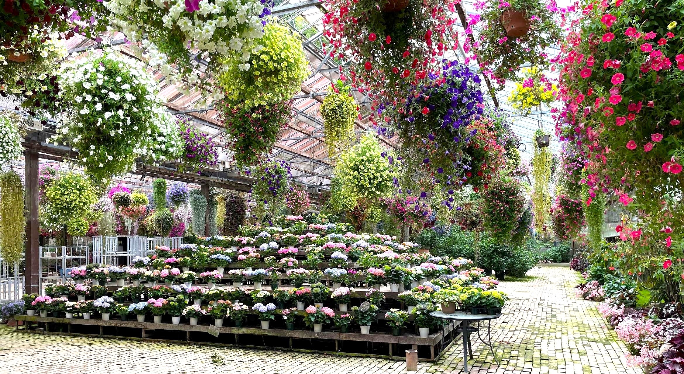 アジサイヒルズとハンギングフラワー