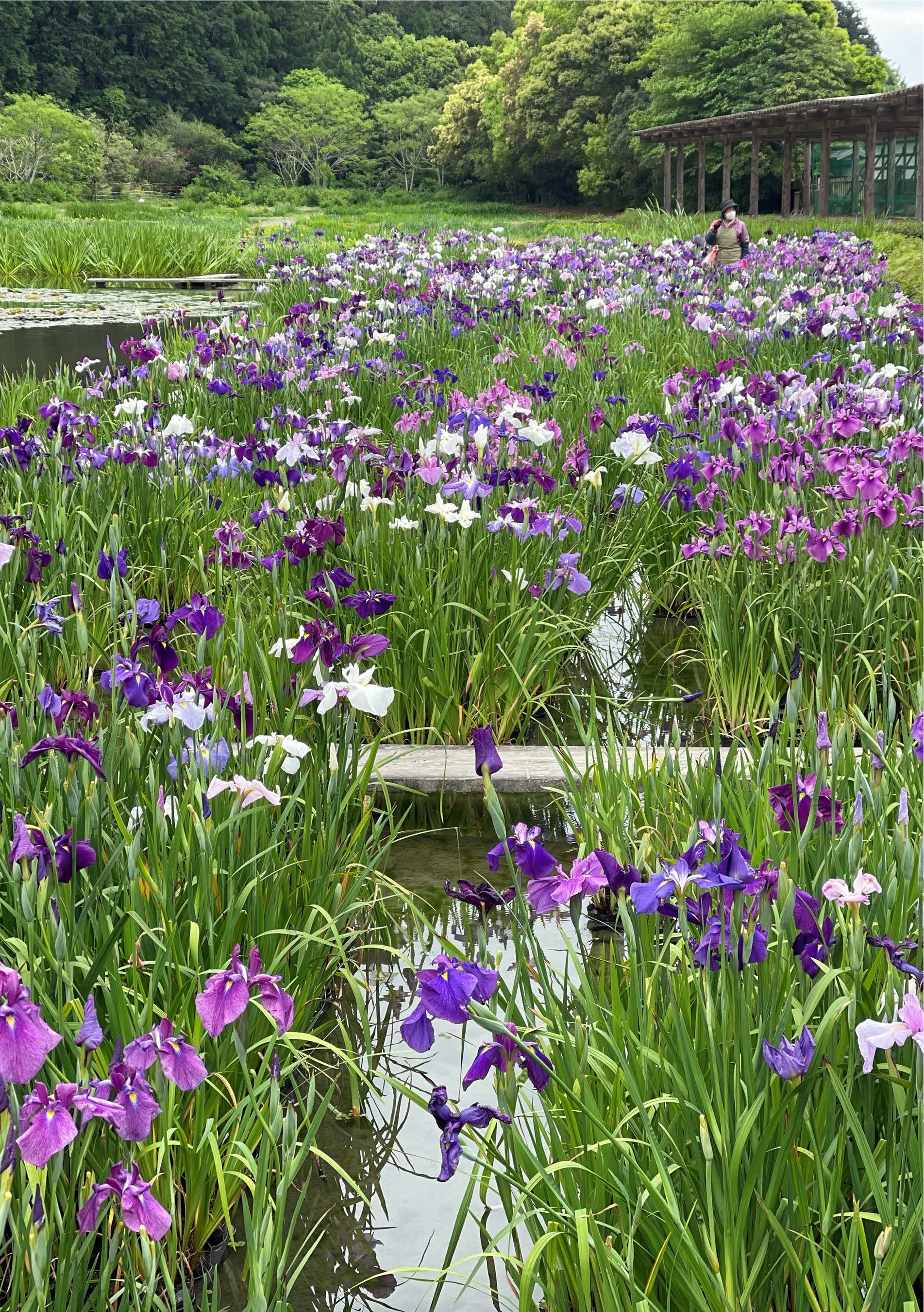 2022年5月1日撮影