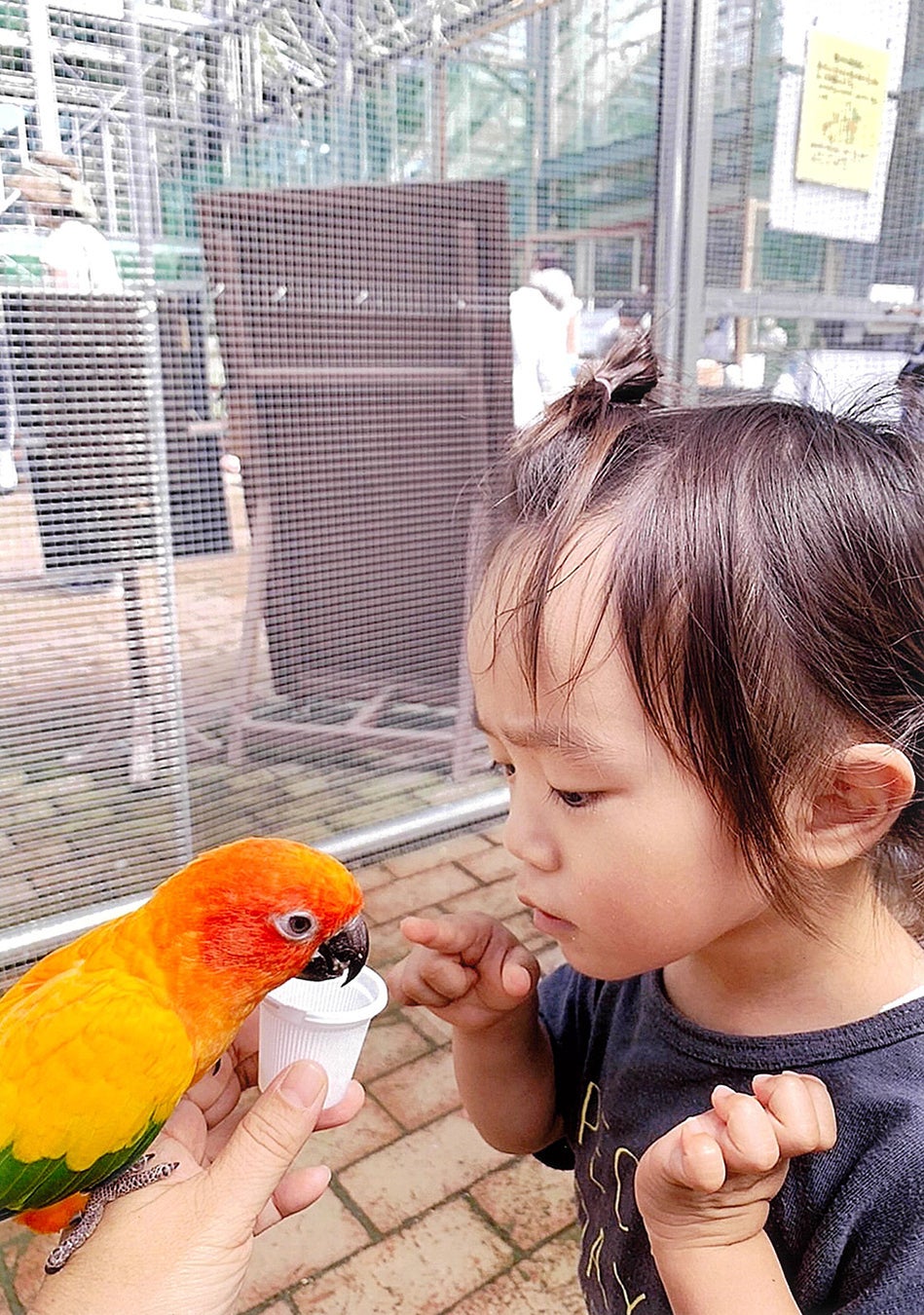 社長賞　宮城真由子様　「ちゃんと食べるんだよ！」