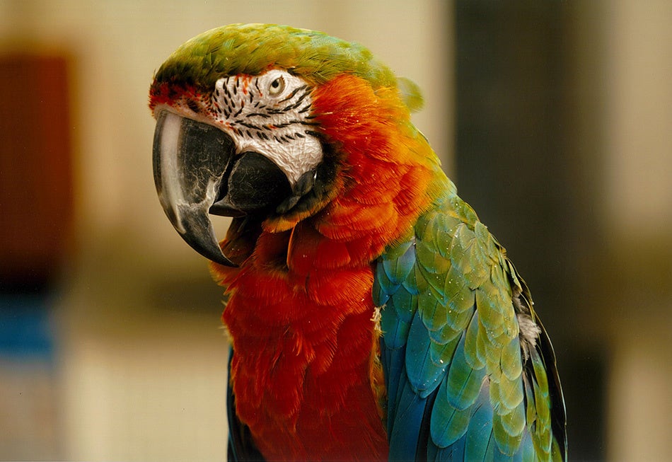 優秀賞　松浦竜洋様　「彩」