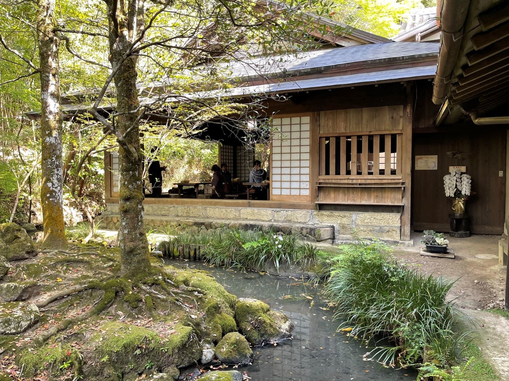 お茶処「桑源亭」