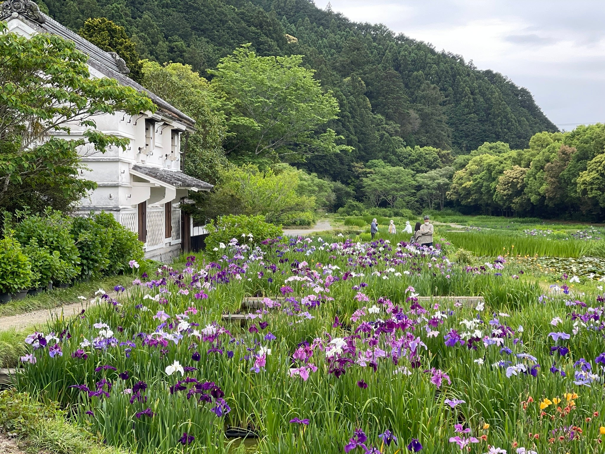 加茂荘花鳥園　2022年5月9日撮影