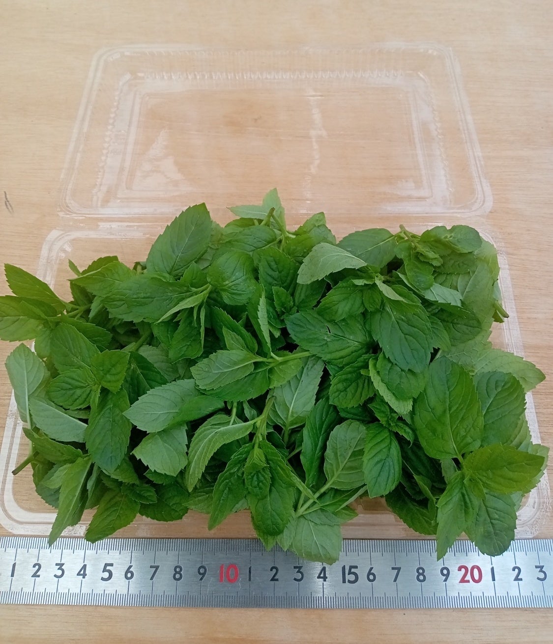 50g　1400円　イメージ図