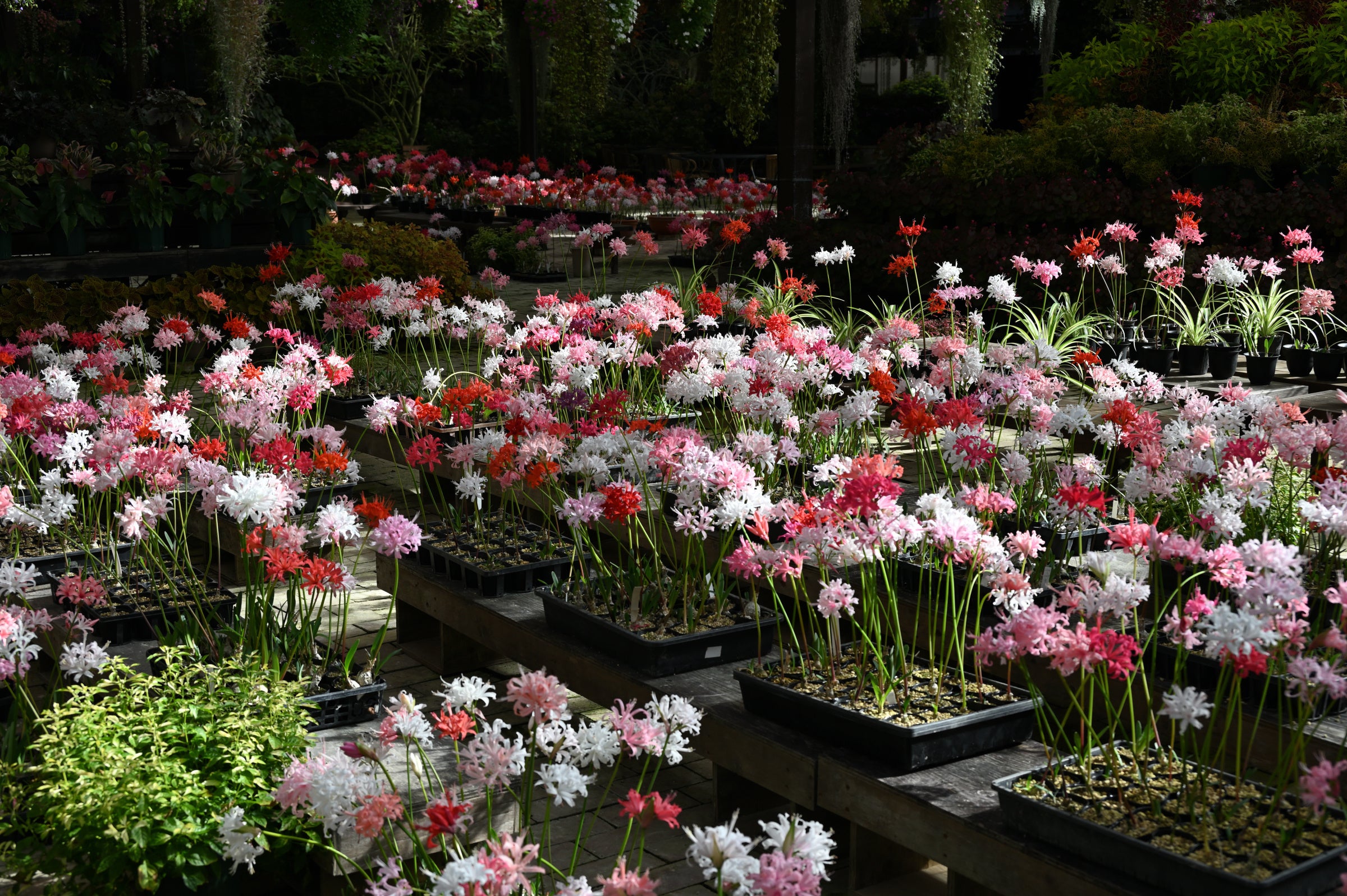 2021年11月13日　近藤様撮影