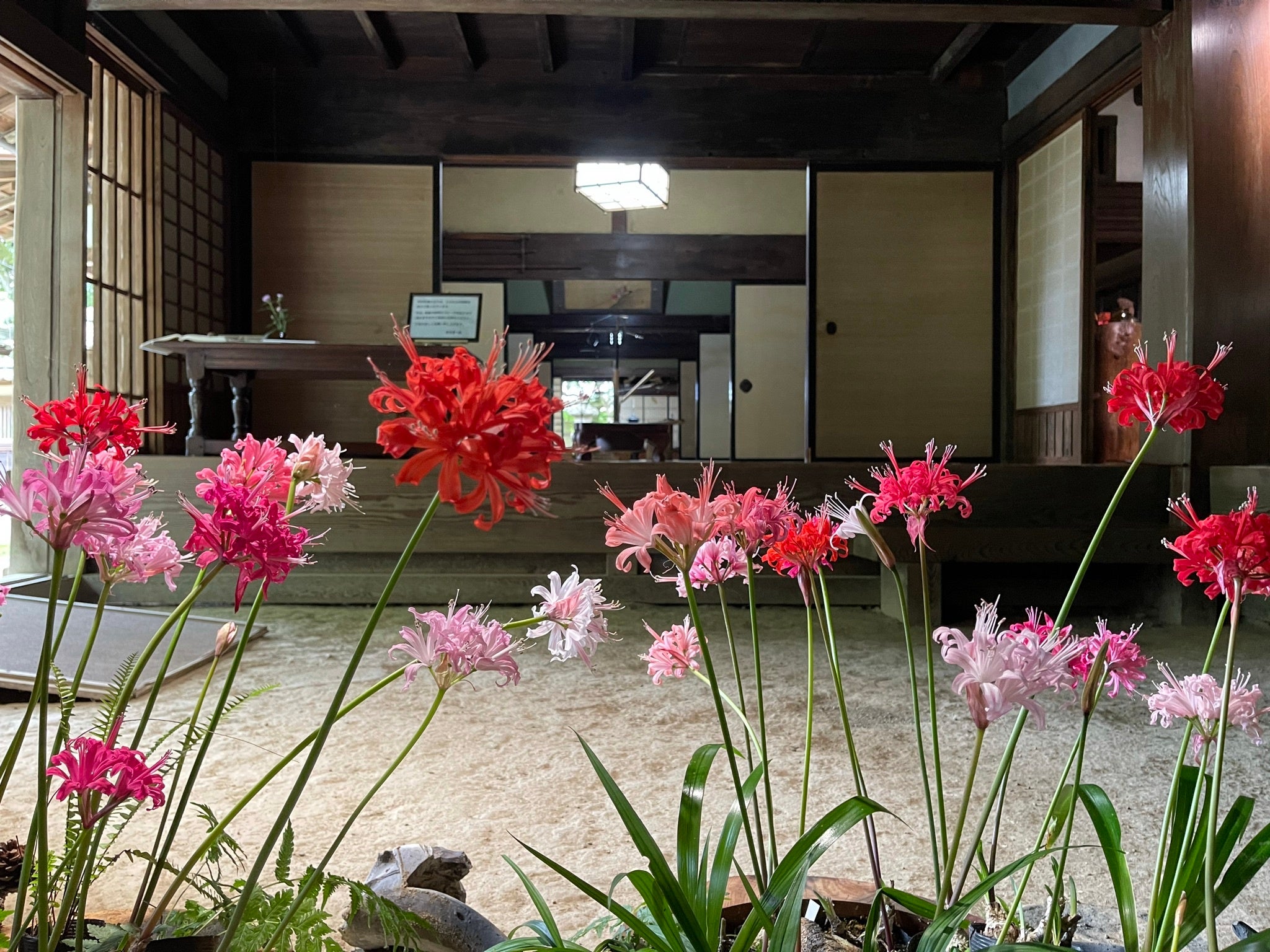 2021年11月1日撮影