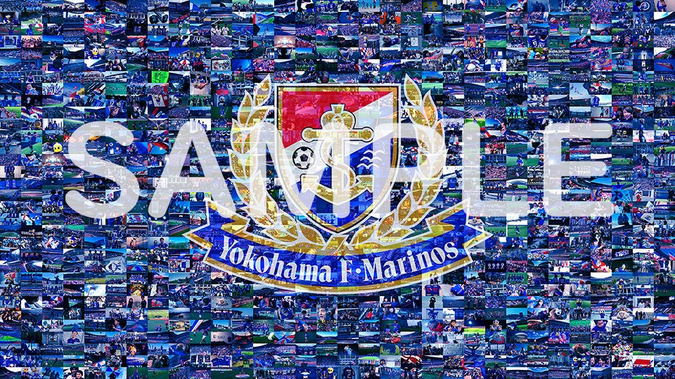 モザイクアート生成システム Terminus Mosaic Live がバージョンアップ Jリーグ 横浜f マリノス公式戦において 30周年記念試合の特別映像に採用されました 株式会社ターミナスのプレスリリース モザイクアート生成システム Terminus Mosaic Live がバージョンアップ Jリーグ 横浜f マリノス公式戦において 30周年記念試合の特別映像に採用されました 株式会社ターミナスのプレスリリース