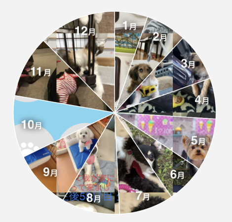 【#うちのクロ】誕生月