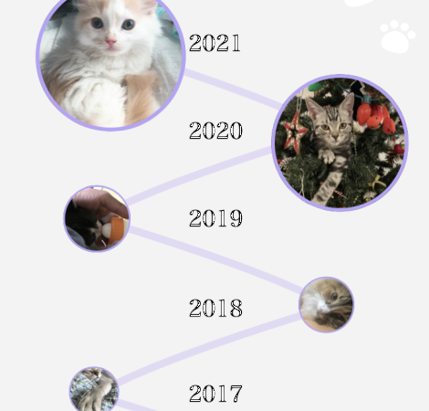 【#うちのクロ】誕生年