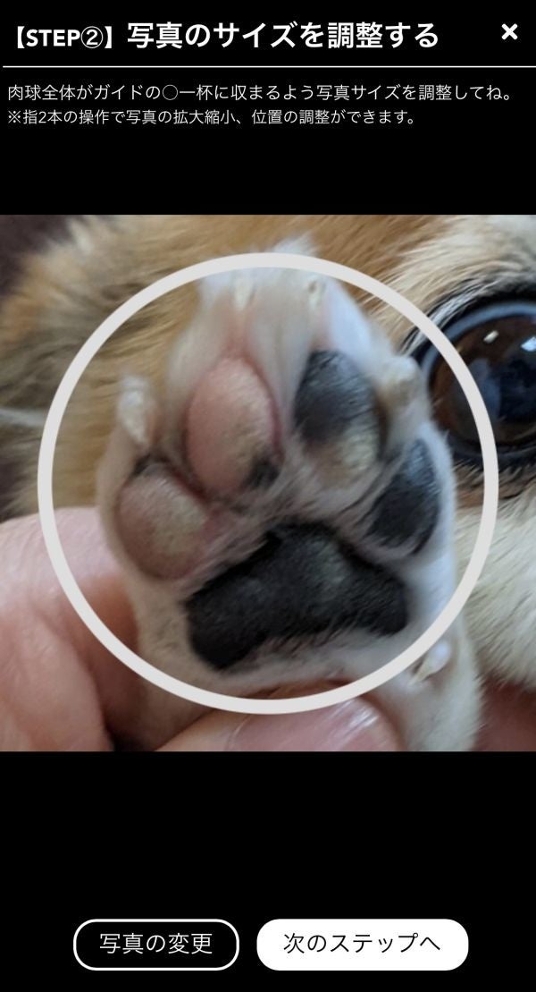 ［うちのクロ］にきゅ印作成（ステップ2）