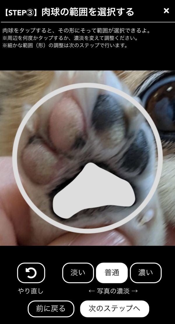 ［うちのクロ］にきゅ印作成（ステップ3）