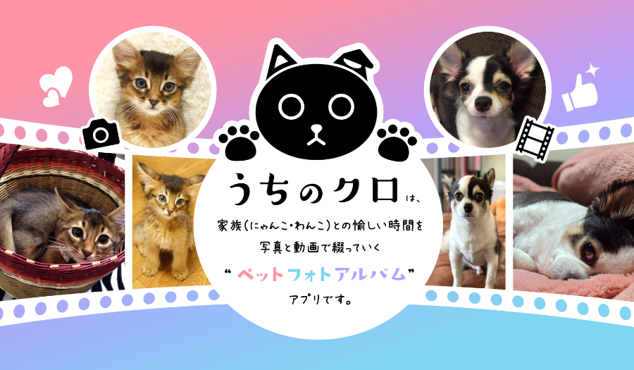 ［うちのクロ］公式サイト