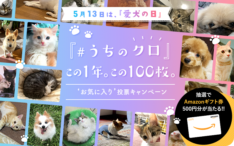 『［#うちのクロ］この1年。この100枚。』あなたの‘お気に入り’投票キャンペーン