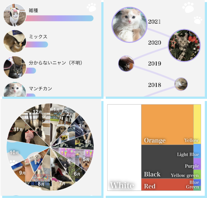 ［#うちのクロ］この1年。この100枚。