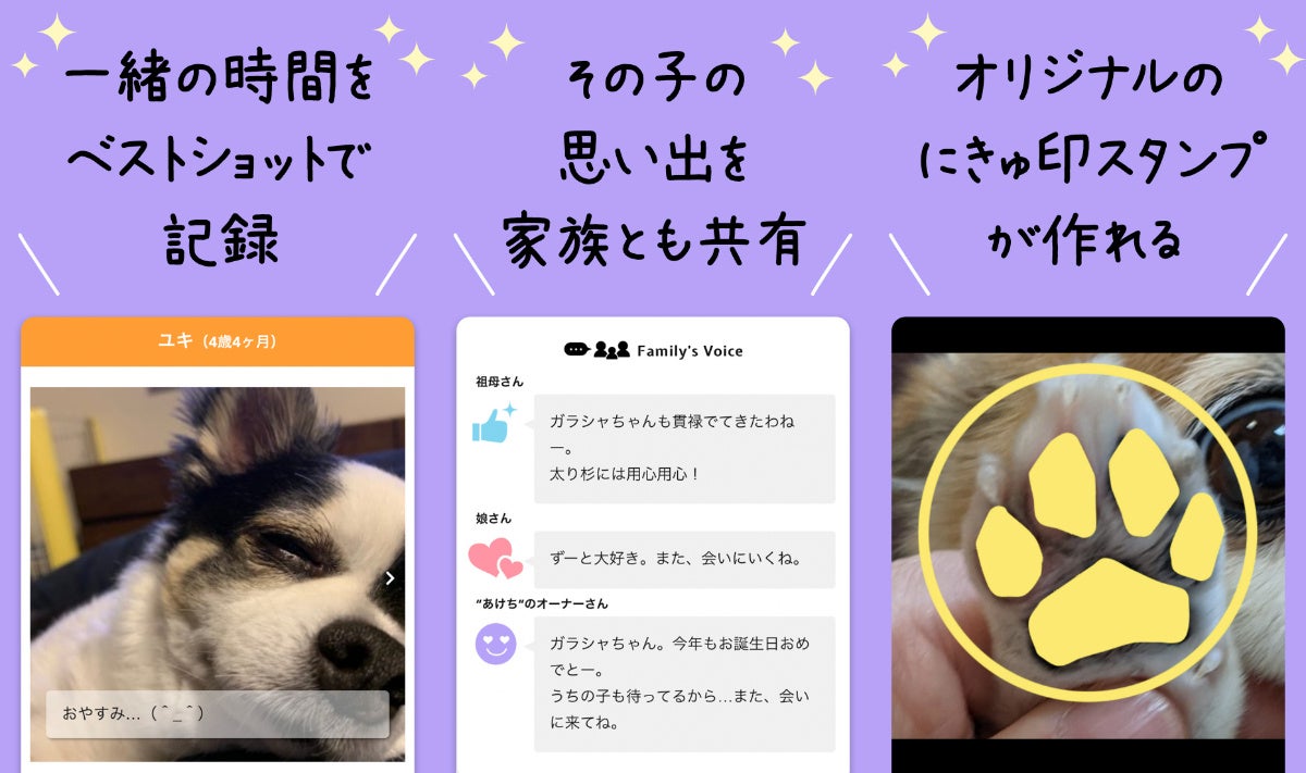 ペットのフォト動画アルバム『うちのクロ』