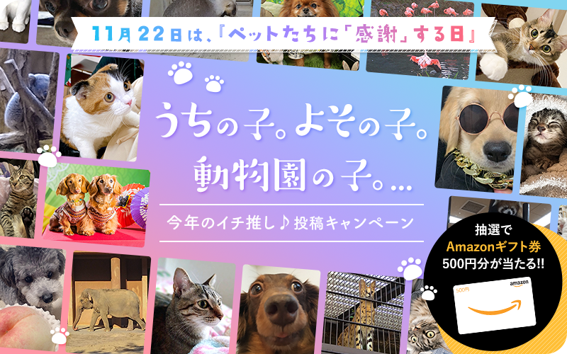 『うちの子。よその子。動物園の子。...今年のイチ推し♪』投稿キャンペーン