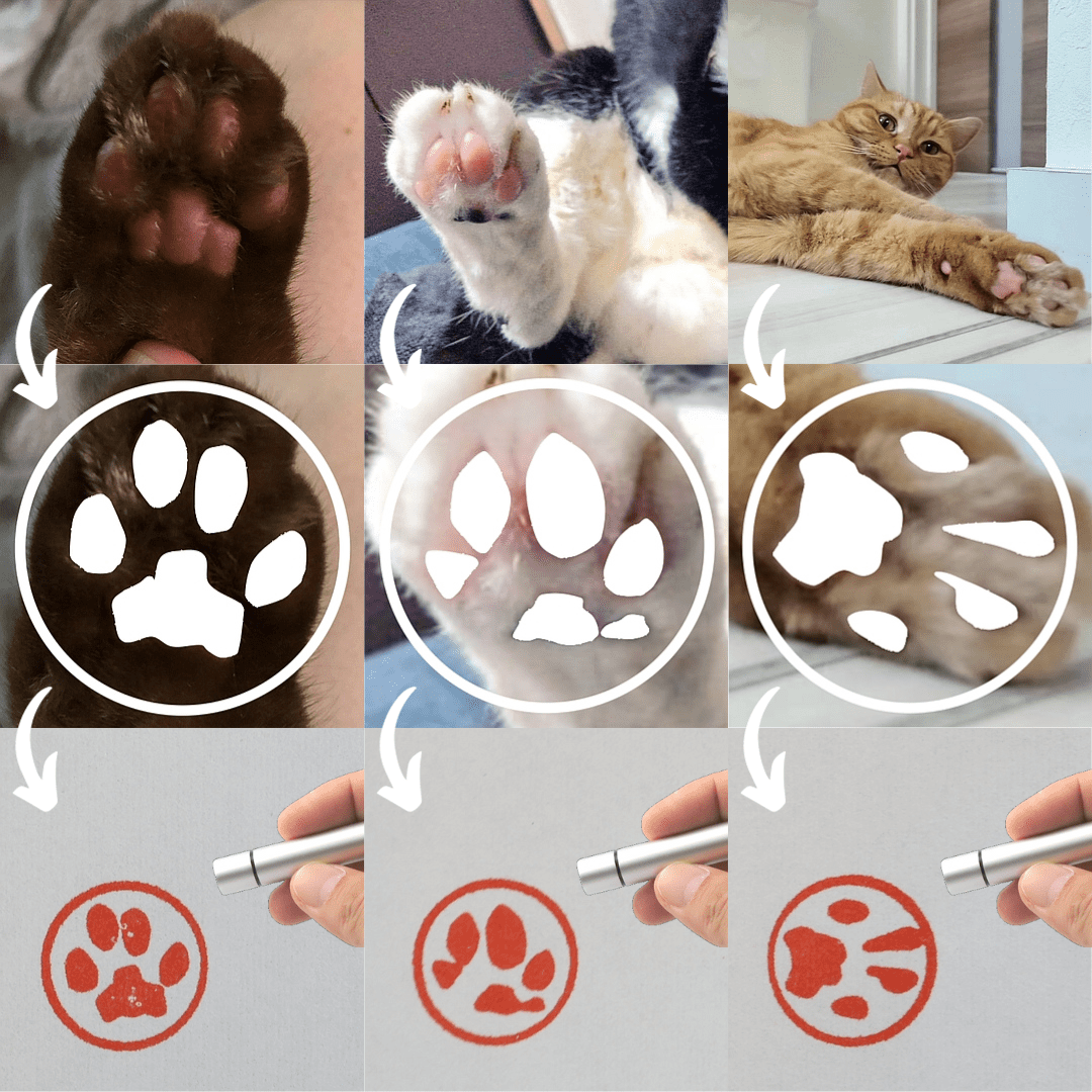 ［うちのクロ］アプリを使用しての制作例