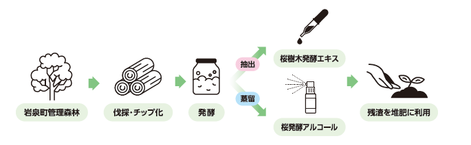 世界初＊山桜木部を独自発酵した化粧品原料『桜樹木発酵エキス』を「第
