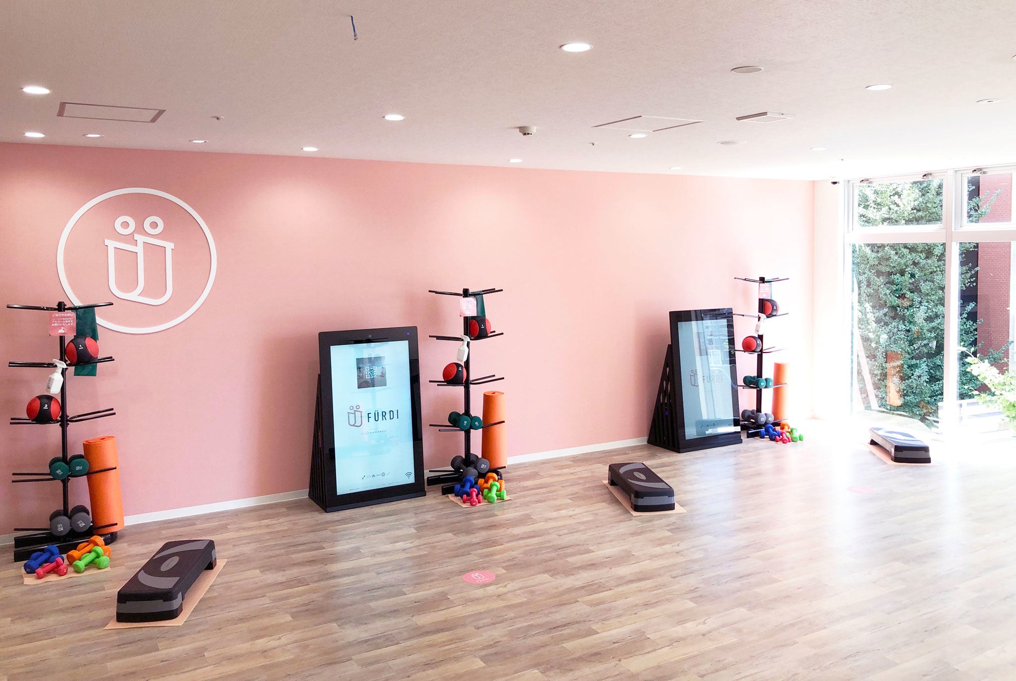 ダンベル・ボール・バンド等さまざまなトレーニングアイテムを使ったマシンに触れないパーソナルトレーニング